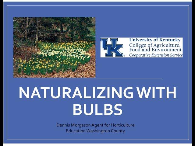 Naturalizing With Bulbs Video