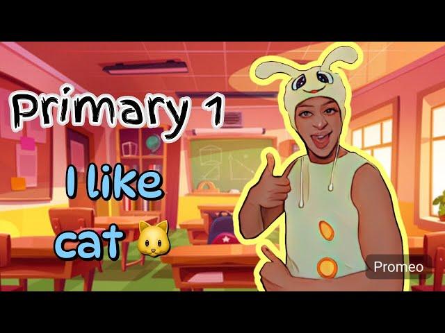 Primary 1 - Unit 1 - Lesson 3 - I like cat