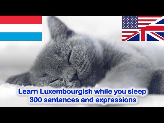 Learn Luxembourgish while you sleep - 300 sentences and expressions (all levels)