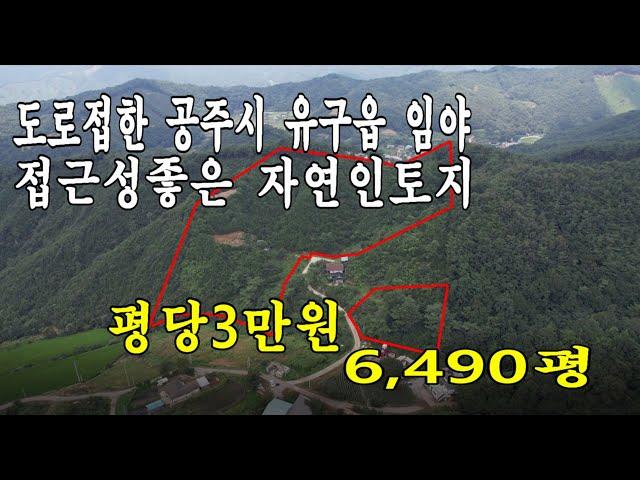 공주시 유구읍 임야 평당3만원 6,490평입니다.