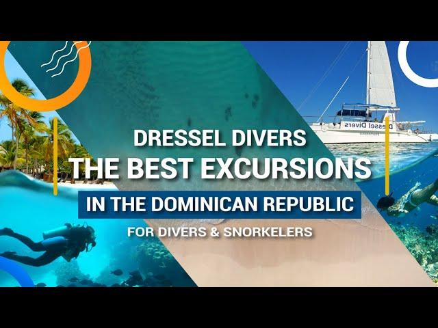 EXCURSIONS IN THE DOMINICAN REPUBLIC WITH DRESSEL DIVERS