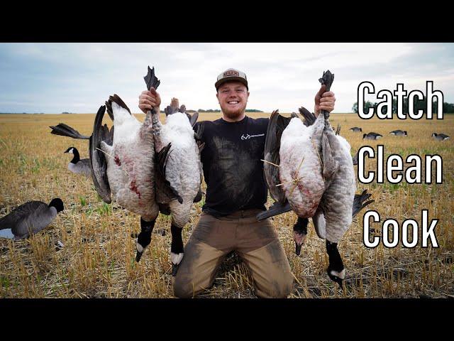 Early Season PUBLIC LAND Goose Hunt! (CATCH CLEAN COOK) | North Dakota 2021