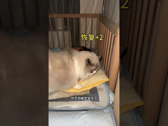 猫咪真的是尊老爱幼怼中间啊… #记录猫咪日常 #猫和孩子