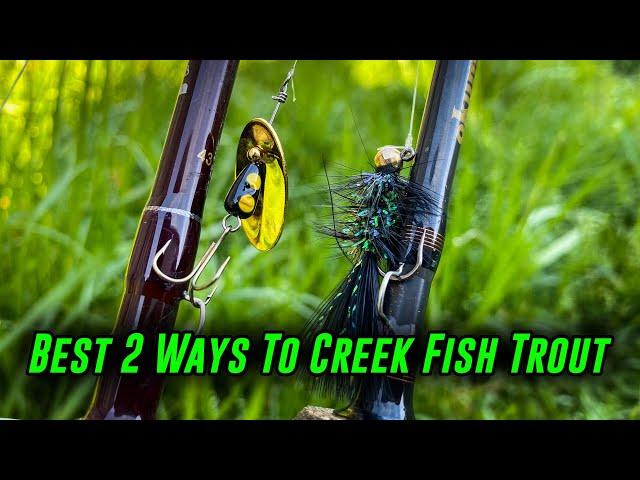 The BEST 2 Ways To FISH for TROUT In CREEKS!