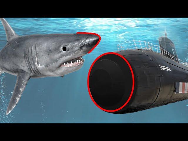 Why Modern Submarines Have Round Noses?