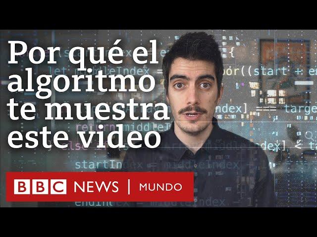 Qué son los algoritmos y cómo aprenden de nosotros | BBC Mundo