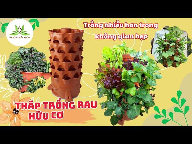 Theo dõi 2 tuần trồng rau trên tháp rau hữu cơ Eco cùng Vườn Sài Gòn