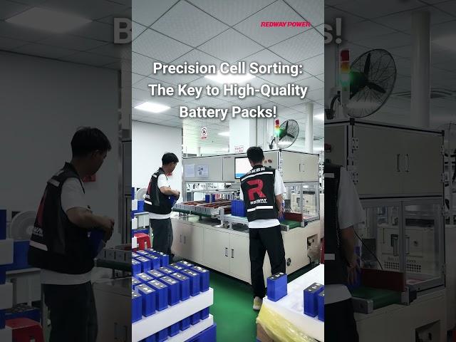 Precision Cell Sorting: The Key to High-Quality Battery Packs! #lithiumbatteryfactory #factory