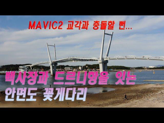 [4K Drone video] 안면도 관광용 인도교 - 꽃게다리