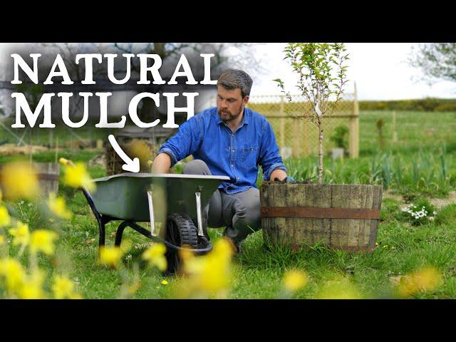 11 Amazing Mulch Materials for Permaculture Gardening