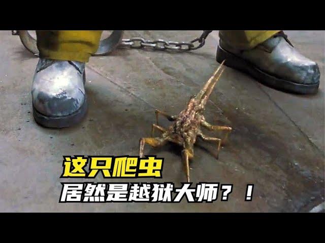 这只爬虫，居然是越狱大师？！