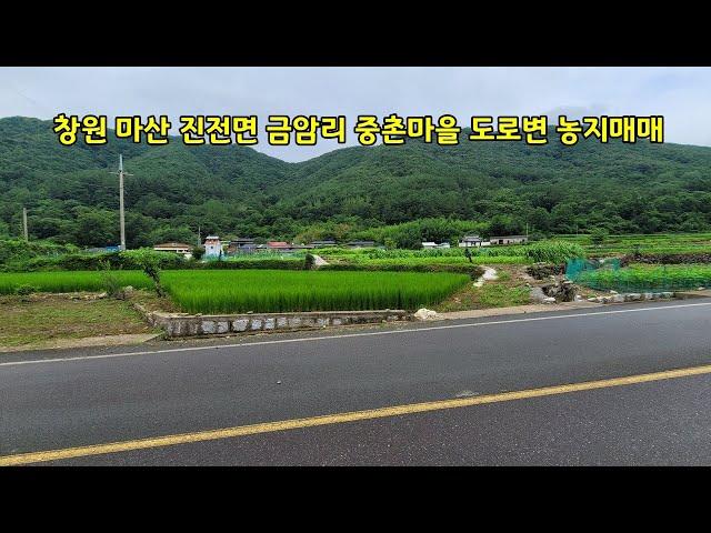 [농지매매] 창원 마산 진전면 금암리 중촌마을 도로변 농지매매