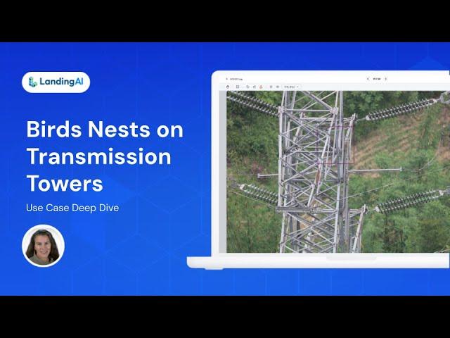 Product Demonstration | Detect Bird Nests on Transmission Towers with LandingLens