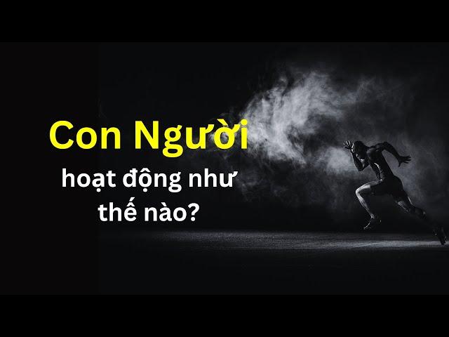 Con Người hoạt động như thế nào? | Tri Thức Nhân Loại