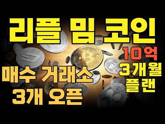 리플 밈 코인, 매수그래소 3개 오픈, 10억 3개월 플랜