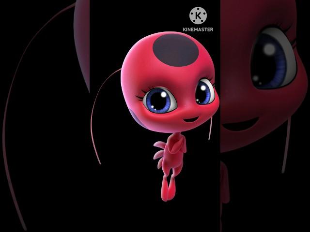 All female Kawmi in Miraculous Ladybug #miraculousladybug #season6 #tikki #kwami