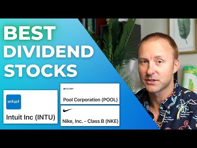 Best Dividend Stock? Income, Growth, Dividend Safety