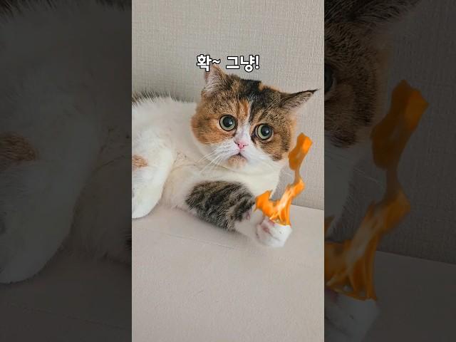 삼방이가 눈뜨고 자는 이유..