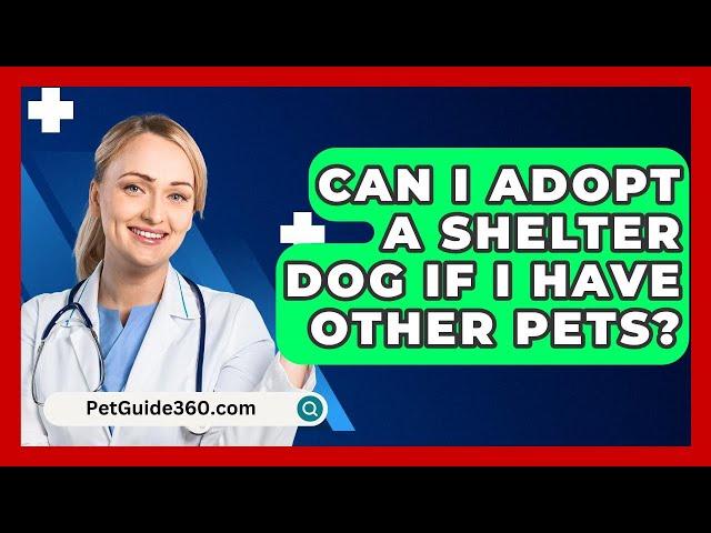 Can I Adopt A Shelter Dog If I Have Other Pets? - PetGuide360.com