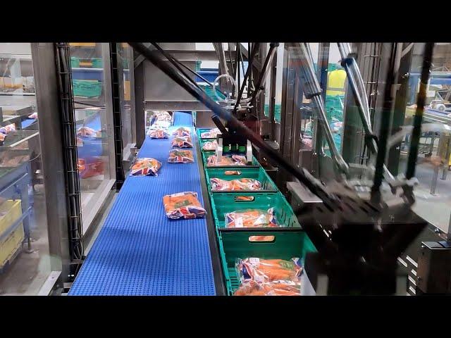 Brillopak's fully automated pick and pack machine with OMRON technology