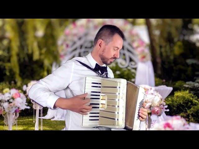 Philip De Villiers | Accordion - Pianist - Singer | Sydney | NSW