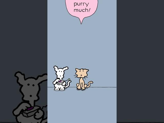 A special message from the Angry Cat Next Door.