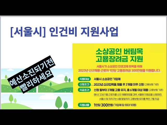 [서울시] 인건비 지원사업  #소상공인