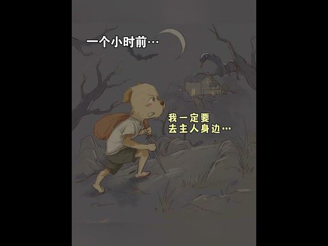 小狗的爱永远热烈#狗狗 #狗狗的心思都写在脸上了 #治愈系 #狗狗故事 #画一个故事 （视频素材源自于@一闪一闪亮⭐⭐）