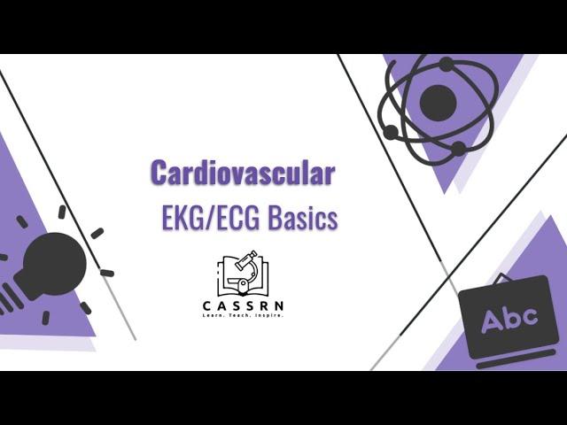 EKG and ECG Basics