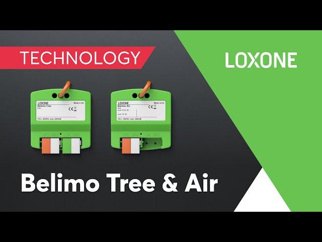 Nieuw: Belimo Tree & Air I 2022 I 4K