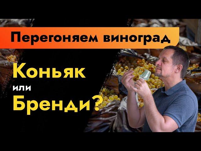 Перегоняем виноград | Коньяк или бренди? | Виноградный дистиллят от браги до бочки