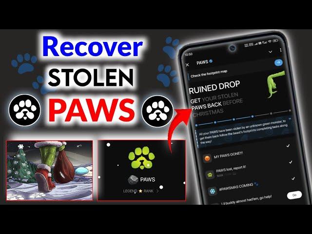 Recover Your Stolen PAWS Back | Pawsmas Task | MY PAWS GONE | Paws Mystery Quest Today | Paws Update