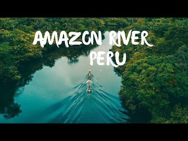 Exploring the Amazon Rainforest in Peru