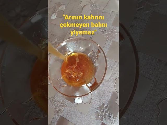 Arının kahrını çekmeyen balını yiyemez.#arıcılık #arı #bee #beekeeper #beekeeping #isparta #yalvaç