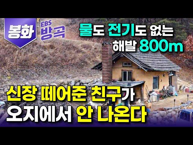 [경북 봉화] "사람 싫다고 산 가더니 그날 저녁에 사버렸다" 무작정 해발 800m, 고지로 들어간 남자와 단칸방 하나 함께 지어 주말마다 찾아오는 친구｜#한국기행 #방방곡곡