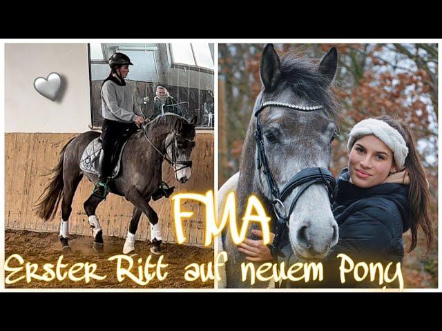 FMA - ERSTER RITT AUF DEM NEUEM PFERD ️ // ASKINO