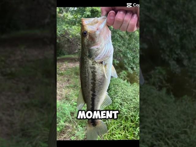 #bass #baitcaster #bassfishing #fish #edit #fishingislife #fishing #edits #fypシ゚viral