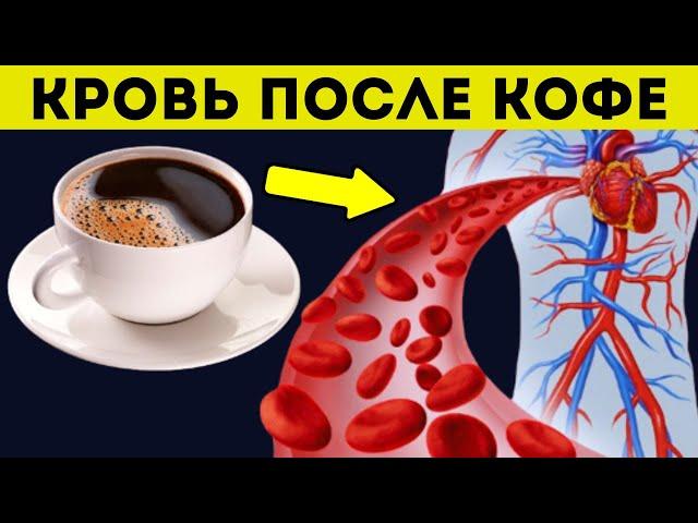 Вот она - ПРАВДА! Что кофе творит с кровью и организмом даже одна чашка?