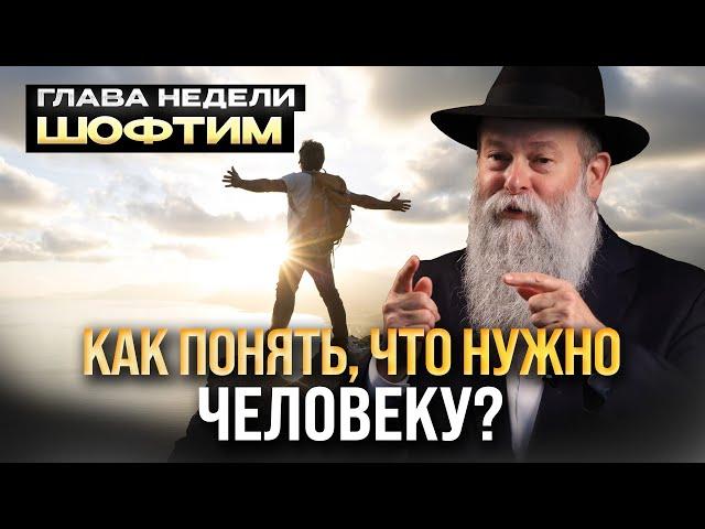 Почему важно замечать чужую боль? Глава недели Шофтим. Рав Шмуэль Каминецкий