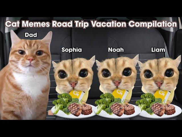 Cat Memes Road Trip Vacation Compilation