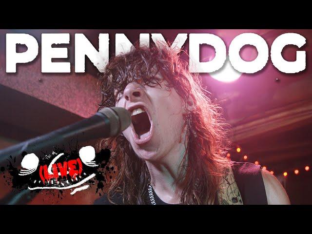 pennydog (LIVE) - The Underworld PHL