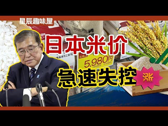 哄搶、比肉還貴！上有金融遊戲，下有投機倒把，日本大米價格如何暴漲？｜星辰趣味屋