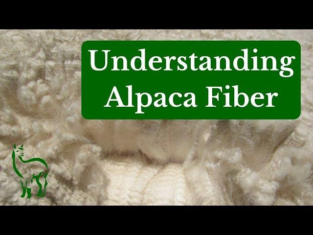 Understanding Alpaca Fiber