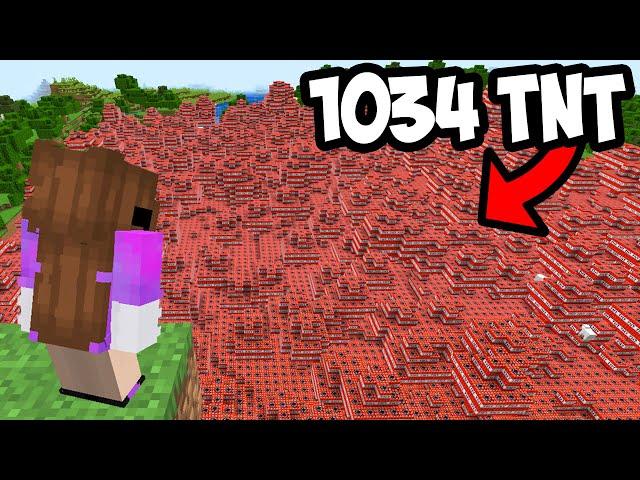 Using 1034 TNT To Take Over This Minecraft SMP…