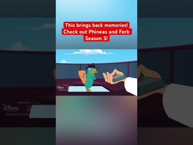 CURSE YOU PERRY THE PLUMMETPUS! #phineasandferb #disney #perrytheplatypus #animation #funny