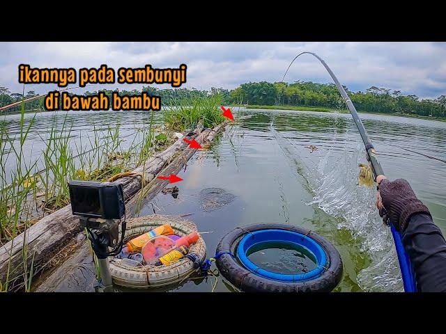 BENAR DUGAANKU‼️ DEBIT AIR NAIK IKAN PADA KELAPARAN || mancing ikan nila di waduk karangkates