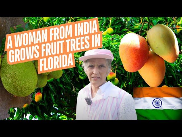 A Woman From India Grows Fruit Trees In Florida