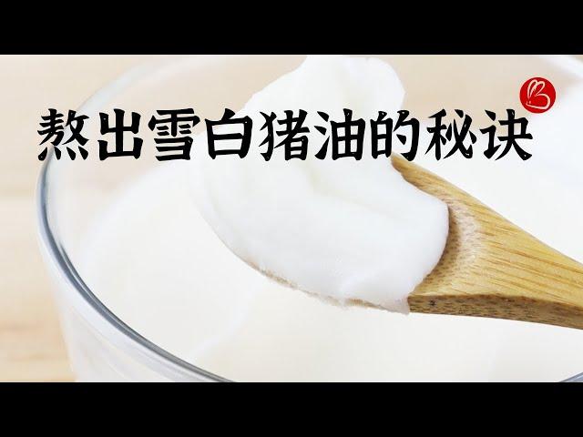 【熬猪油】熬雪白猪油的两个秘诀~百分之九十的人不知道哦！真的跟雪一样白哦~ 有图有真相~【兔妈妈的厨房日记】EP4