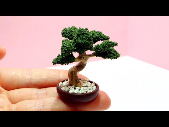 Miniature bonsai tree