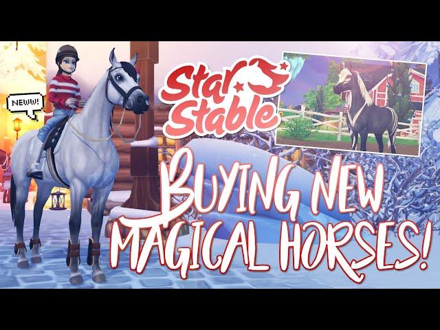 Buying the NEW MAGICAL horses & MORE! | Star Stable Updates